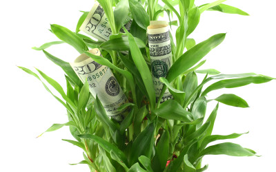 Follow the dividends