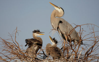 Kick your children out of the nest